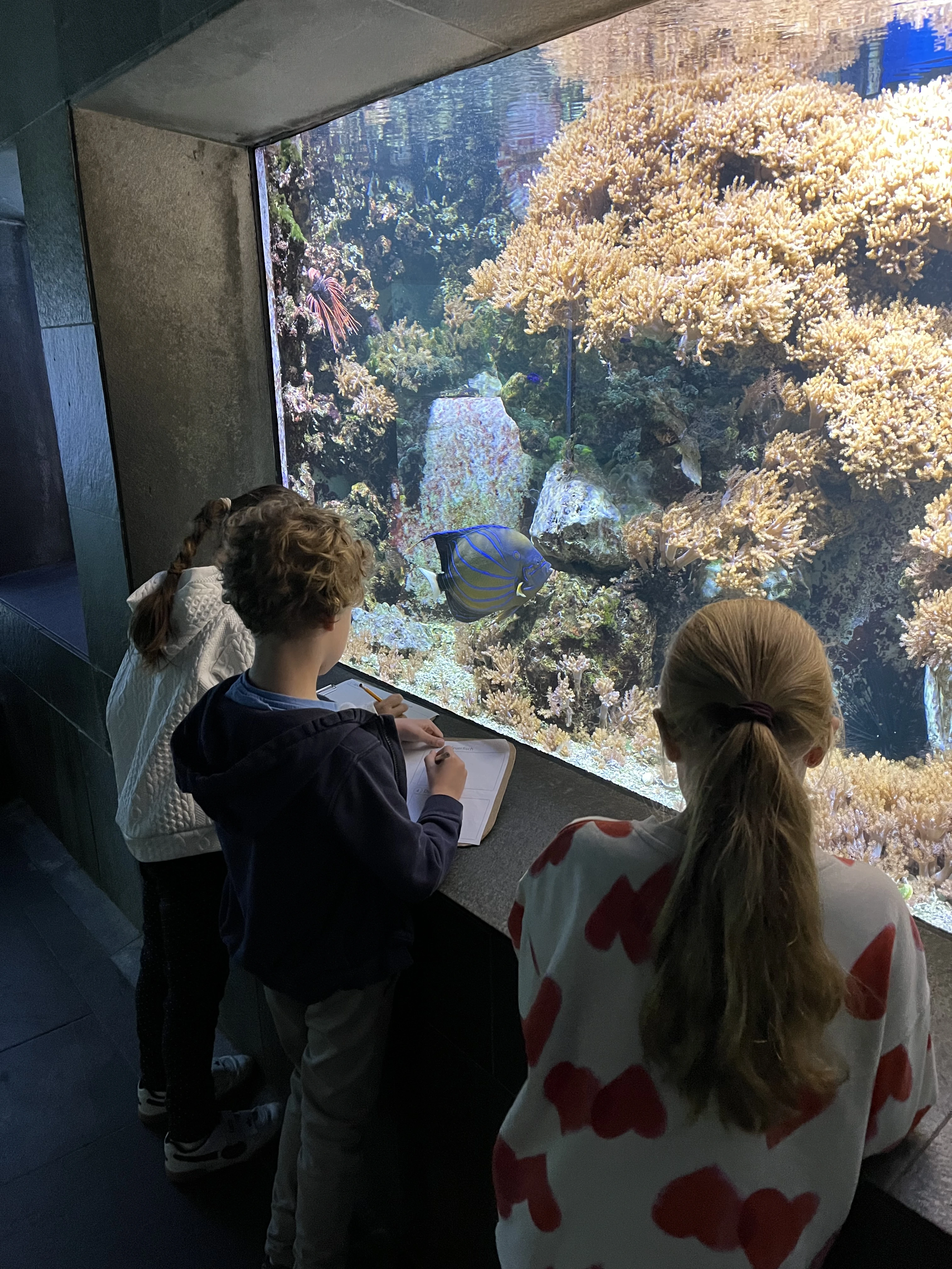 Team 2 in der Zooschule | dbs-pulheim.de Team 2 in der Zooschule