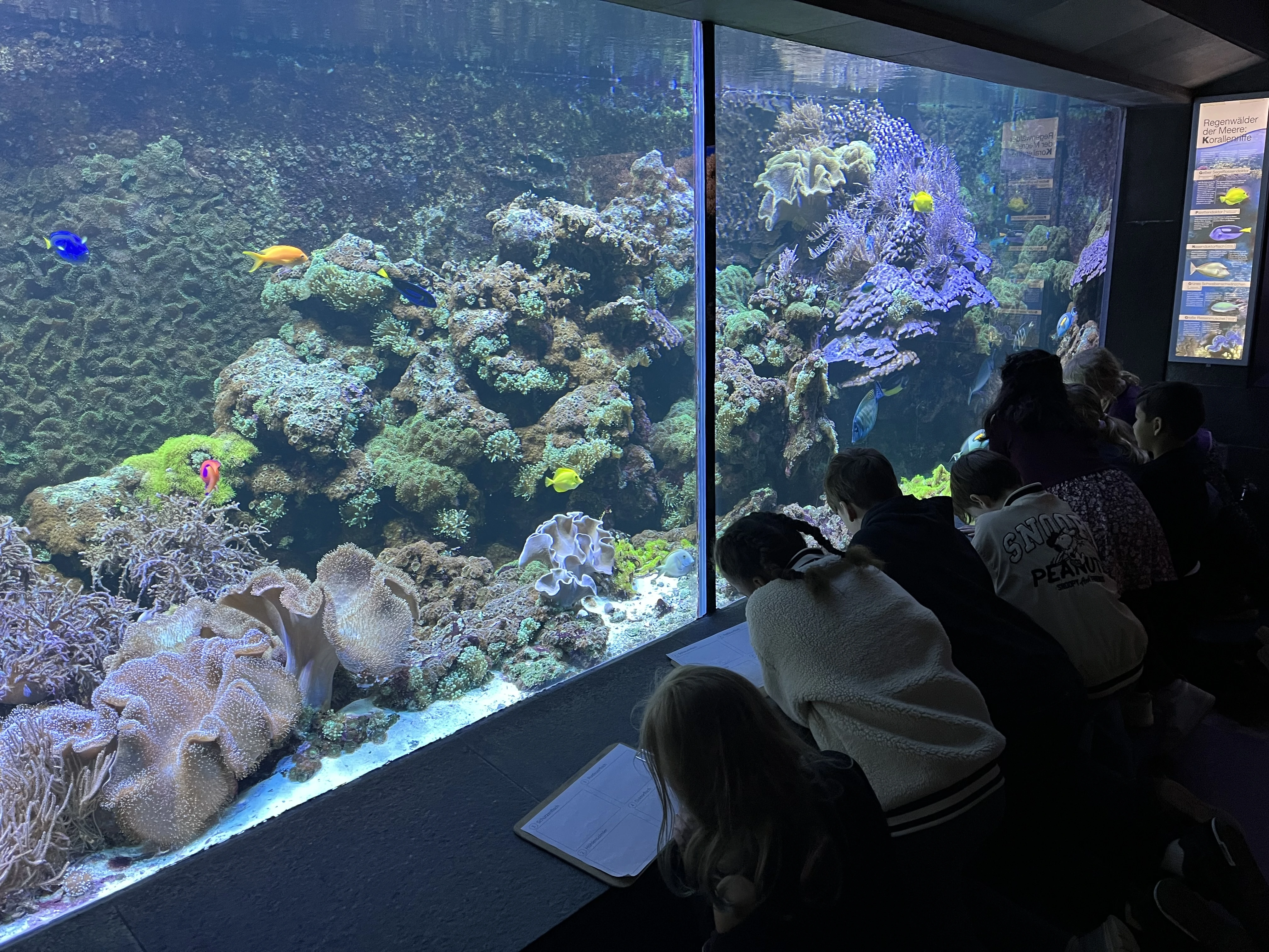 Team 2 in der Zooschule | dbs-pulheim.de Team 2 in der Zooschule