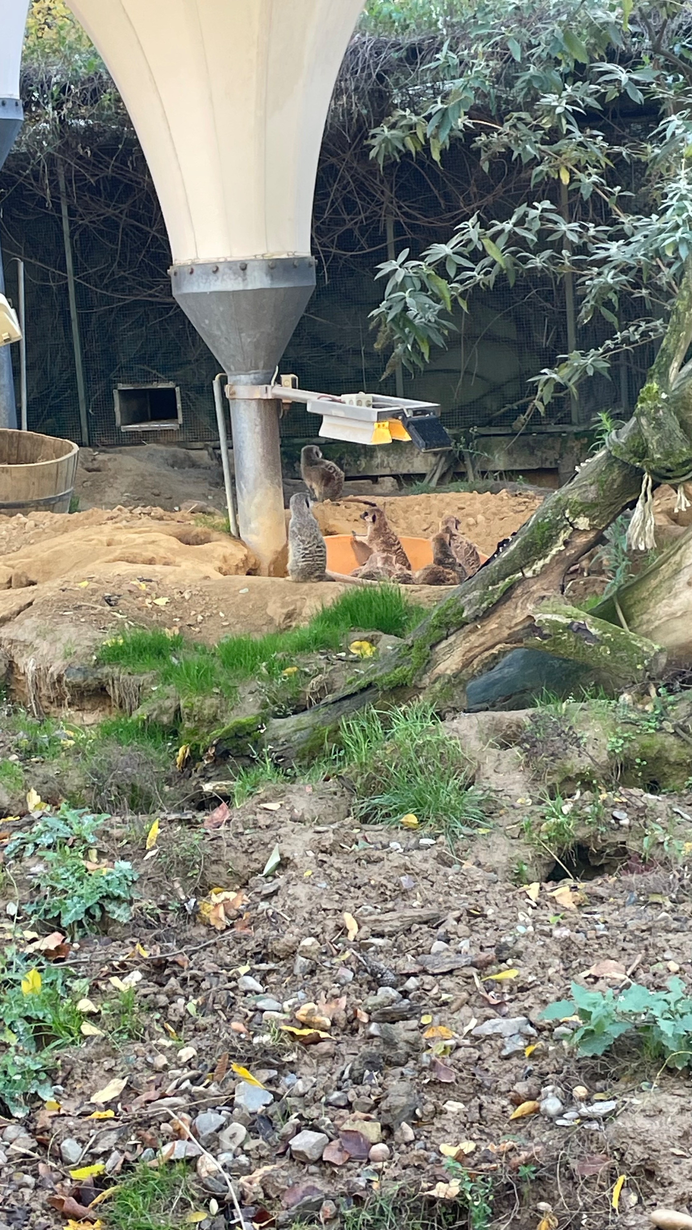 Team2 Zooschule | dbs-pulheim.de Team2 Zooschule