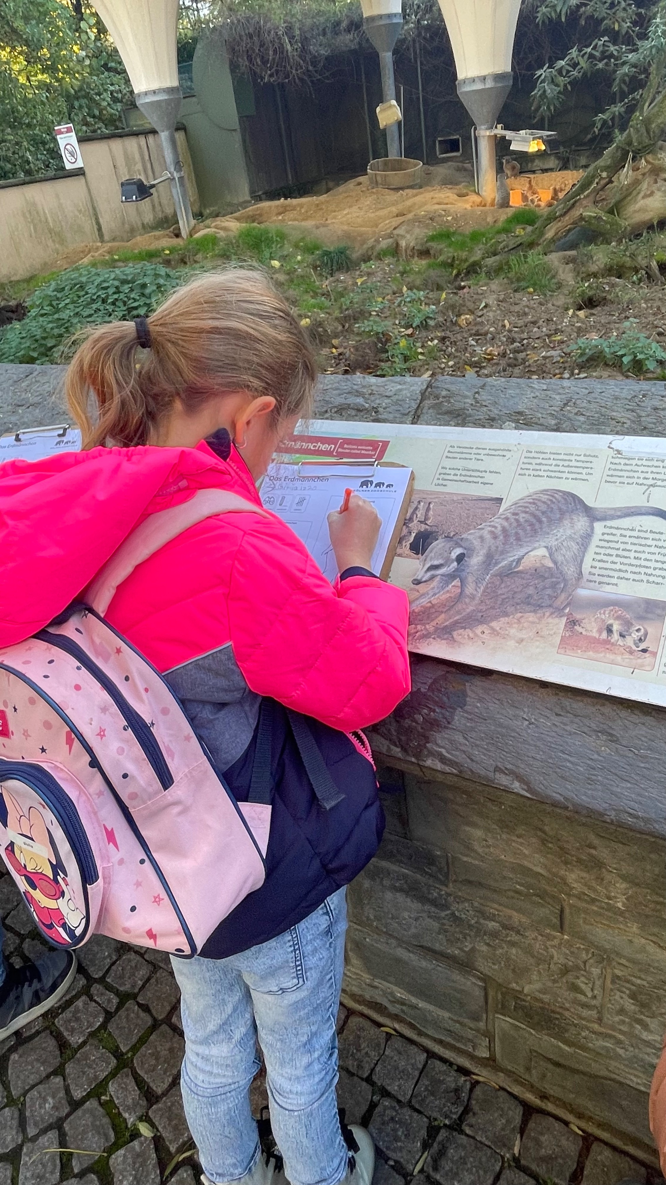 Team2 Zooschule | dbs-pulheim.de Team2 Zooschule