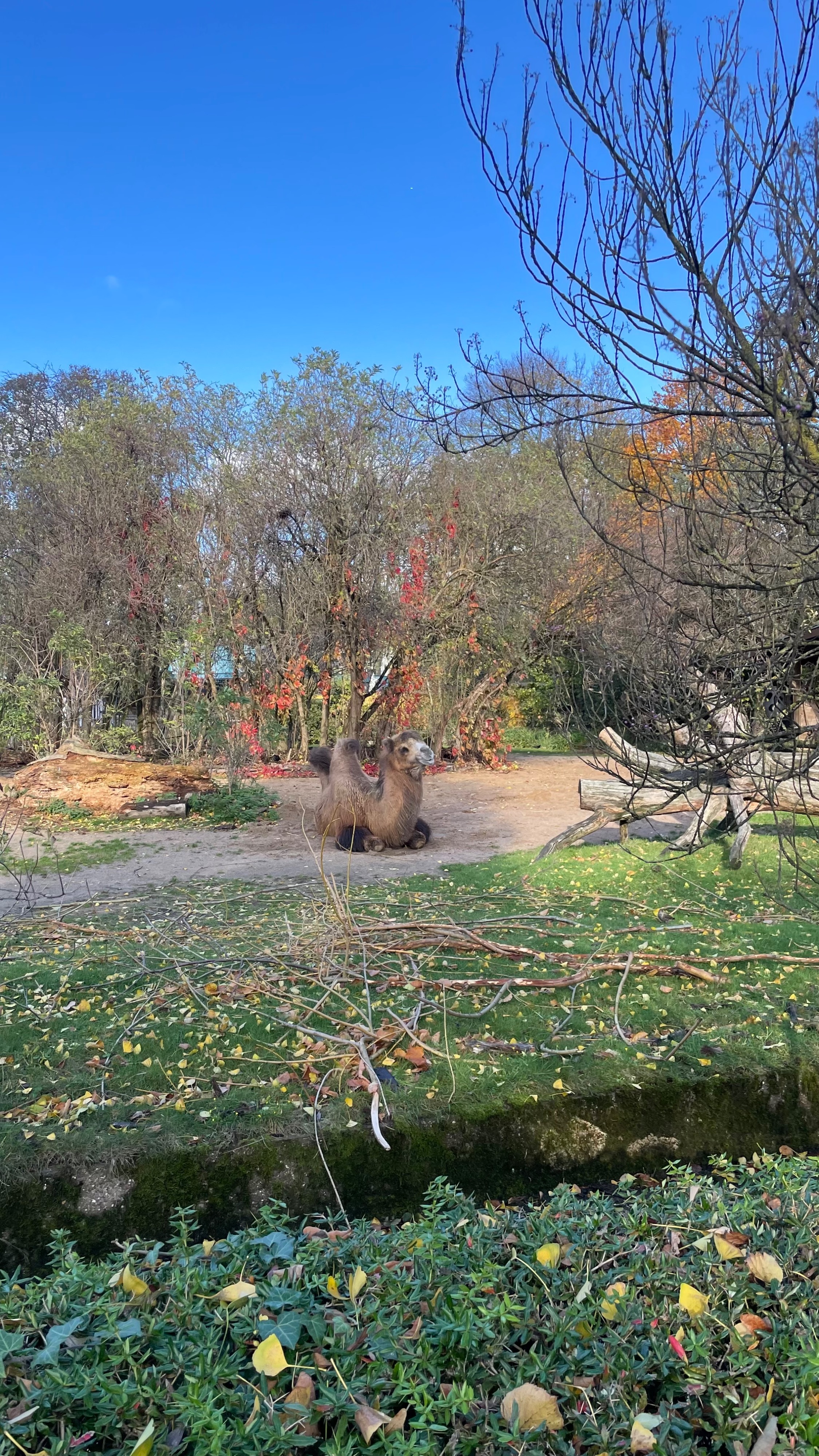 Team2 Zooschule | dbs-pulheim.de Team2 Zooschule