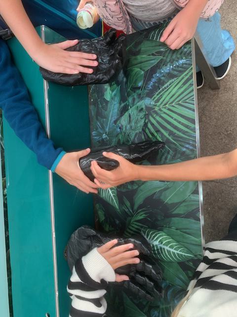 Zoobesuch T1 | dbs-pulheim.de Zoobesuch T1