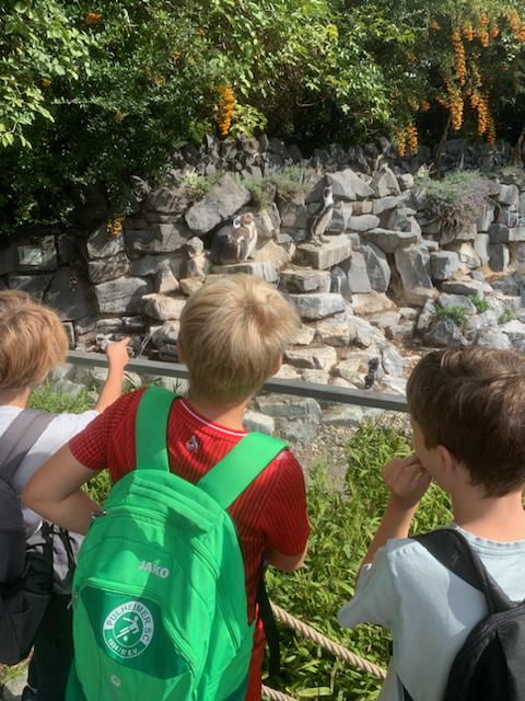 Zoobesuch T1 | dbs-pulheim.de Zoobesuch T1