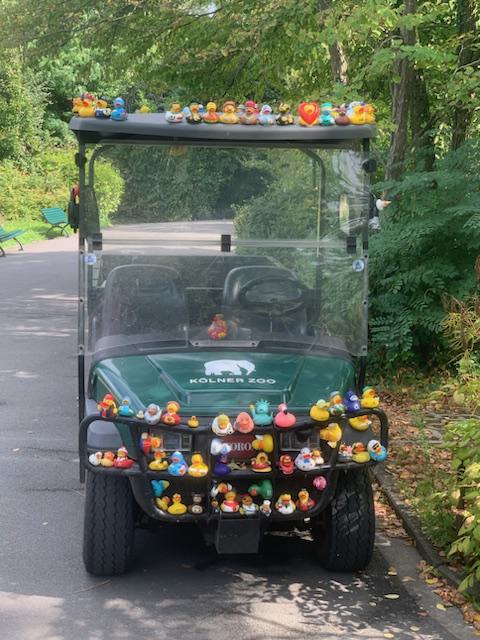 Zoobesuch T1 | dbs-pulheim.de Zoobesuch T1