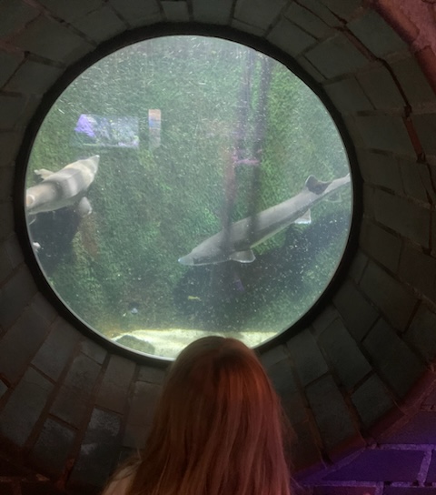 Zoobesuch T1 | dbs-pulheim.de Zoobesuch T1