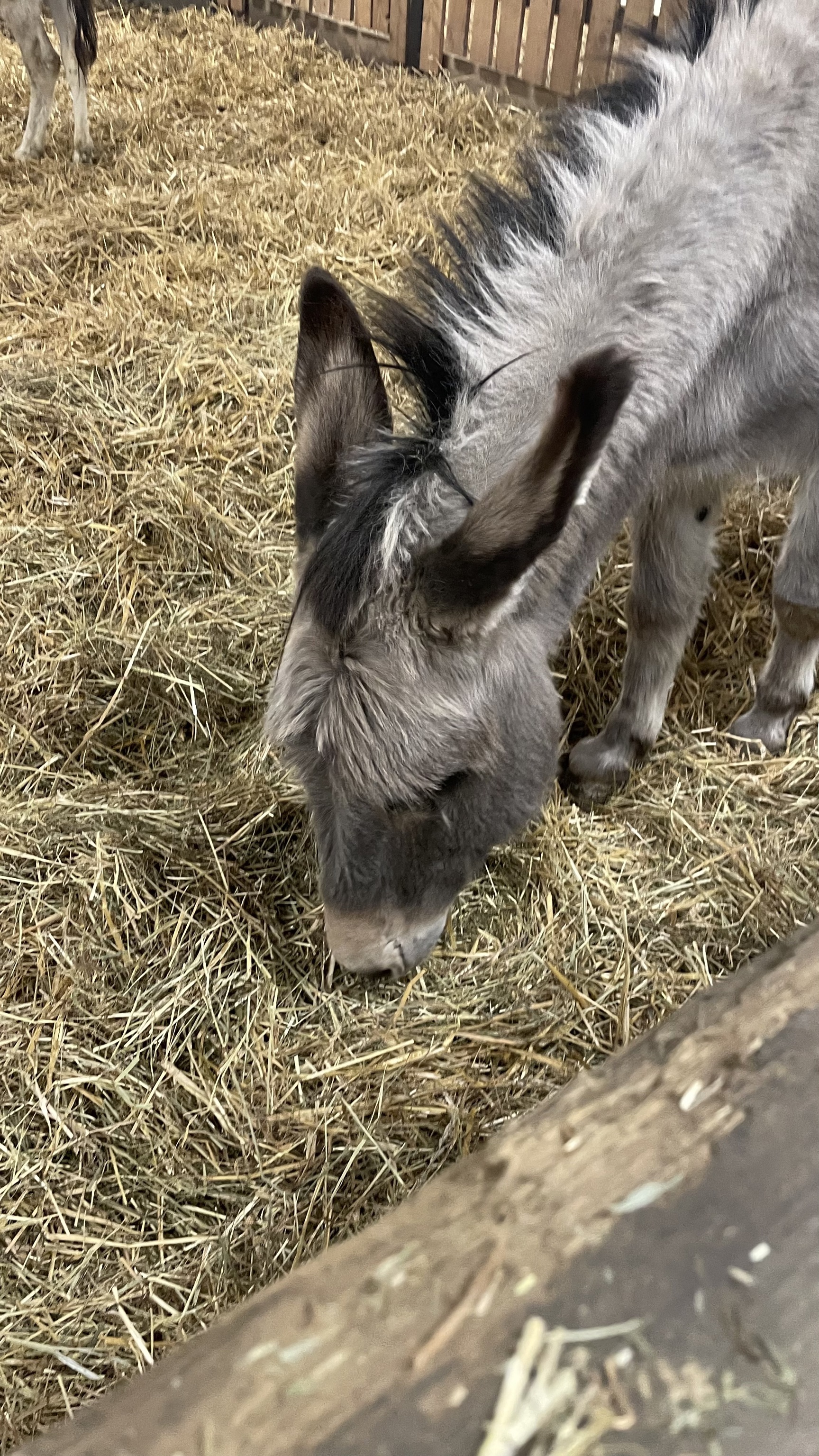 Glessener Mühlenhof | dbs-pulheim.de Glessener Mühlenhof